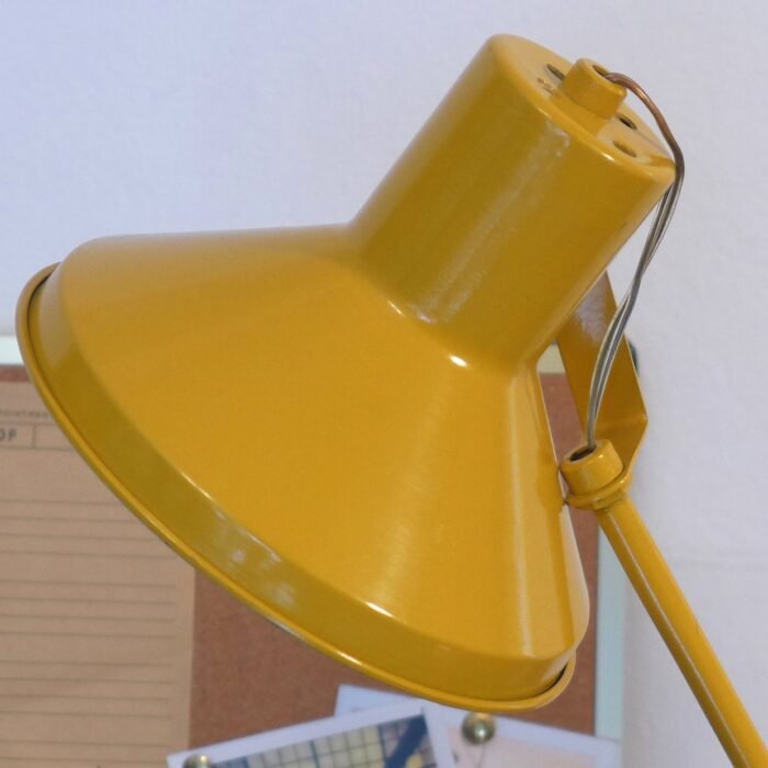 LEMON - Image 4