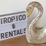 CISNE ESPEJITOS