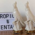 PAR CACATUAS