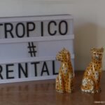PAR LEOPARDOS