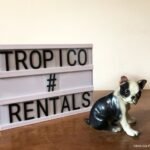 PERRO CERAMICA