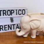 ELEFANTE PORTAOBJETOS BLANCO