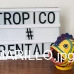 PEZ MEXICANO AMARILLO