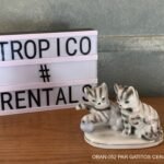 PAR GATITOS CERAMICA