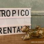 PERRO PIEDRA