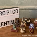 COLECCION 10 BUHOS