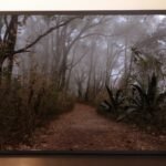 BOSQUE MEXICO MARCO NEGRO 83x63 cm