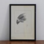 AGUILA 22x31cm