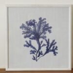 ALGA #1 48x48