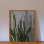 LENGUA DE SUEGRA 41x51cm