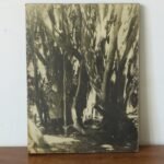 BASTIDOR BOSQUE ALAMOS 30x40cm