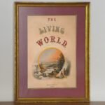 THE LIVING WORLD 37x47cm