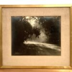FOTO CAMINO BOSQUE B&N 42X36CM