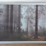 BOSQUE & NIEBLA 80x60