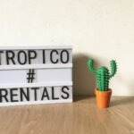 BIROME CACTUS