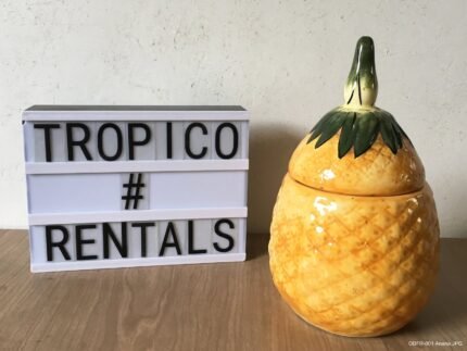 FRASCO ANANA AMARILLO