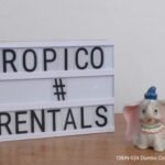 DUMBO CERAMICA
