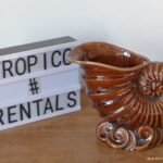 FLORERO CARACOL