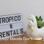 MACETA DOS CISNES
