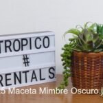 MACETA MIMBRE OSCURO