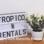 MACETA BLANCA
