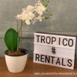 MACETITA ORQUIDEAS BLANCAS