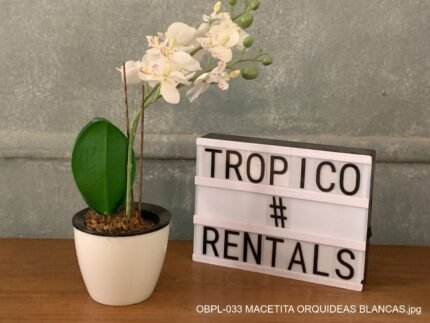 MACETITA ORQUIDEAS BLANCAS