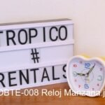 RELOJ MANZANA