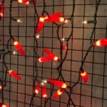 GUIRNALDA AJIES 7MTS | 65 Ajies - Image 2