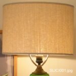 SLICI001