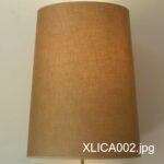 XLICA002