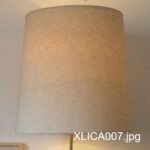 XLICA007