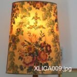 XLICA009