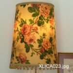 XLICA023