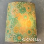 XLICA025