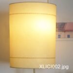 XLICI002