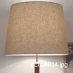 LLICA014