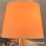LLICA020