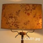 LLICI001