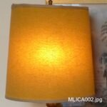 MLICA002