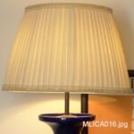 MLICA016