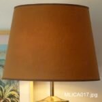 MLICA017