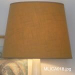 MLICA018
