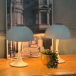 MINI TULIP - Image 2