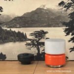 DORINS NARANJA - Image 2